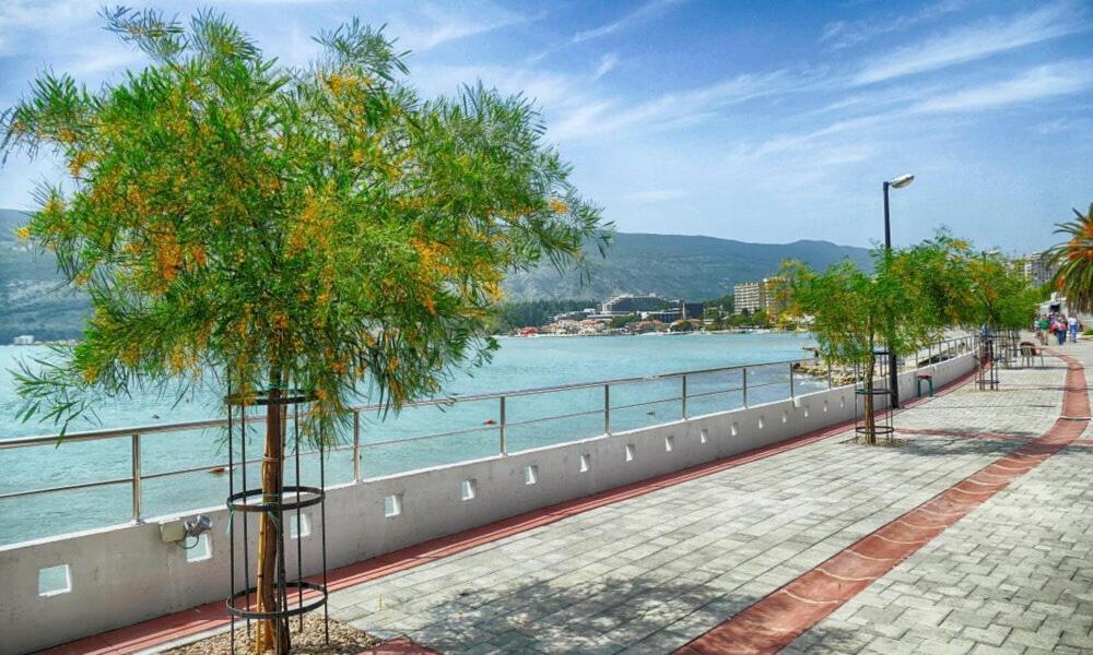 Villa Montanja تْشيرسيك نوفي المظهر الخارجي الصورة